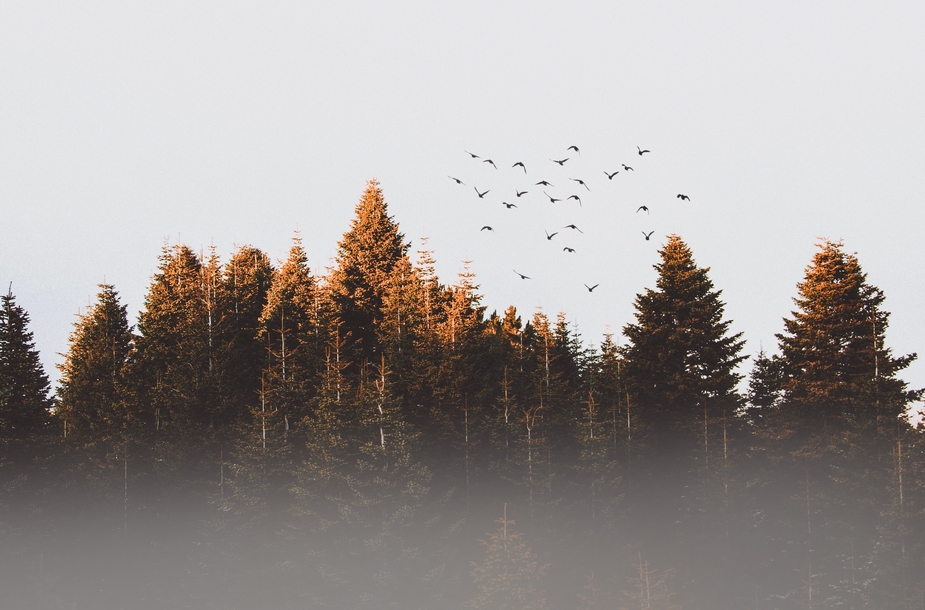 Background Image for Stats Section